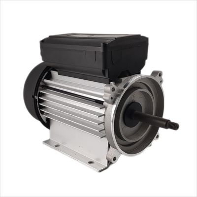 monofásico 1hp eléctrico 3000rpm del motor sumergible 300-500W para las bombas de circulación