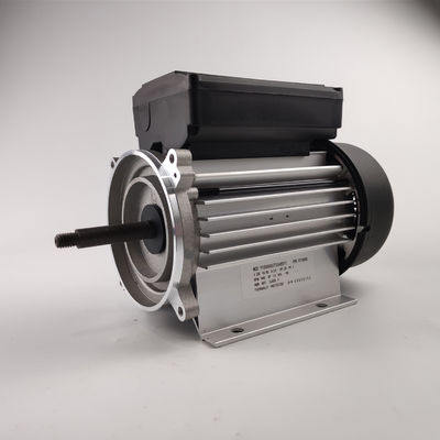 monofásico 3000rpm de agua 300-700W del motor eléctrico de la bomba para las bombas del balneario y de la bañera