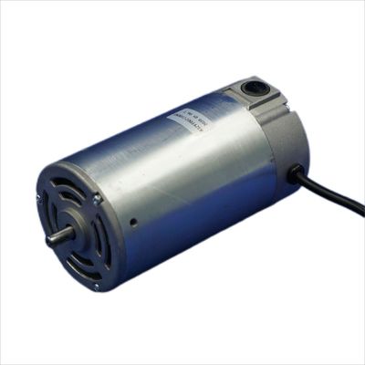 La velocidad 110v 220V 100-500W PMDC del imán permanente 83ZYT cepilló el motor