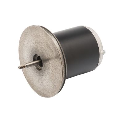 Motor micro de DC del imán permanente de 83ZYT 110-220V 300w para la máquina de la pelota de tenis