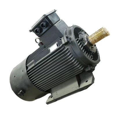 Capacidad máxima de harina de 50 kg Motor síncrono con imán permanente de refrigeración por aire/agua estándar IEC/DIN