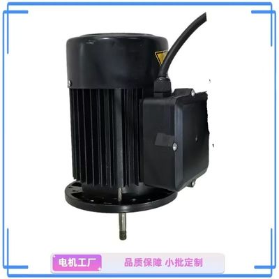 Motor de bomba de agua de una sola fase compacto de 1 CV - ideal para jardín y hogar