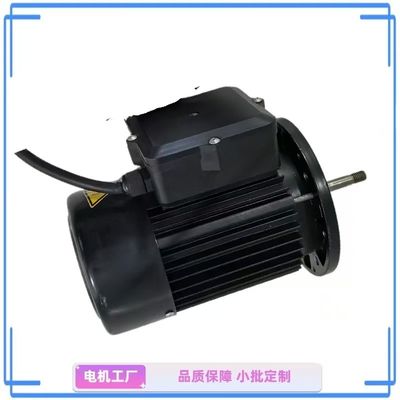 Motor de bomba de agua de una sola fase compacto de 1 CV - ideal para jardín y hogar